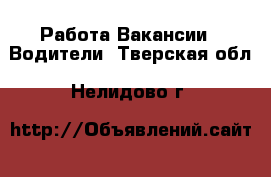 Работа Вакансии - Водители. Тверская обл.,Нелидово г.